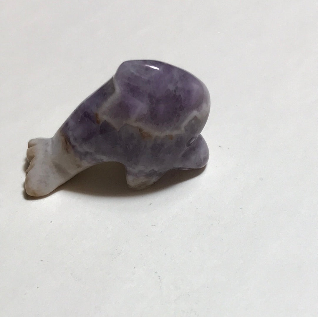 Amethyst Dolphin