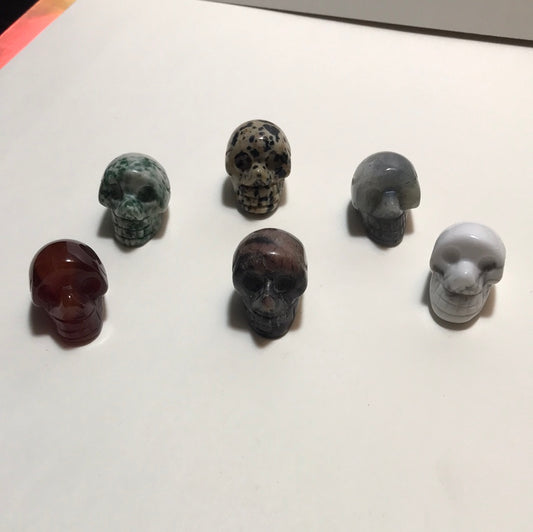 Bag of 6 Assorted Mini Skulls
