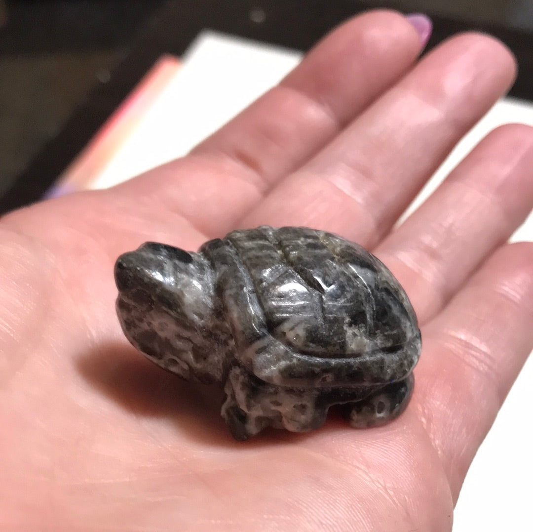 Sphalerite Turtle