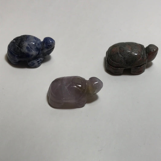 Bag of 3 Assorted Mini Turtles